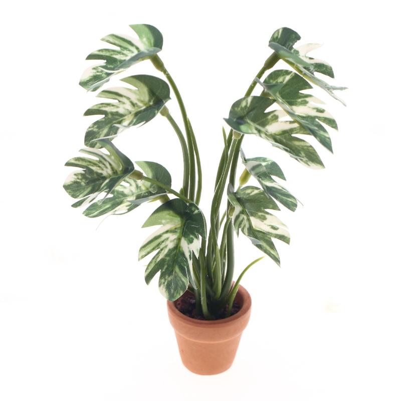 Smart Garden In Home - Nuovo. 1 Pezzo Pianta Verde Monstera