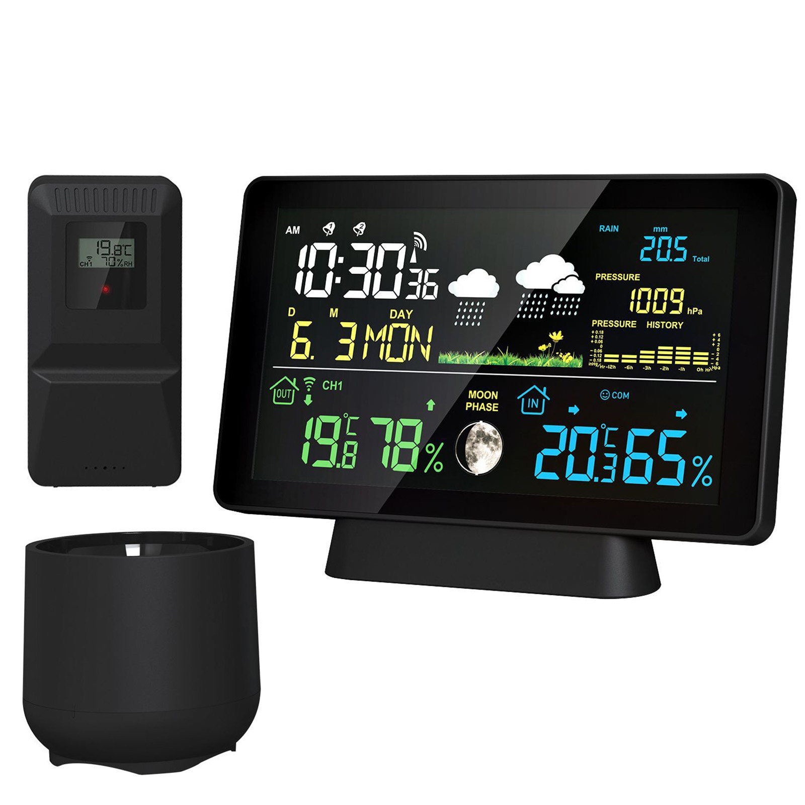 Garden Weather Station - Stazione meteorologica wireless per interni/esterni Termometro