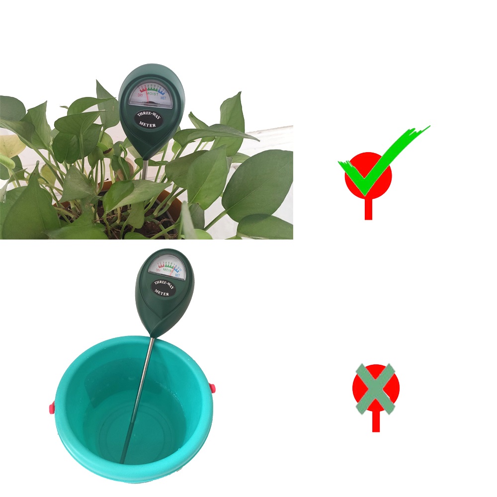 Umidometro per Terreno, Strume - Soil Test Digital recensione e prezzo