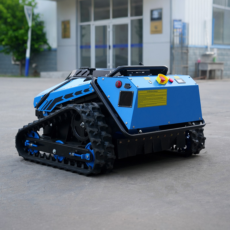 Tagliaerba Robot con Telecamer - Smart Garden In Home recensione e prezzo