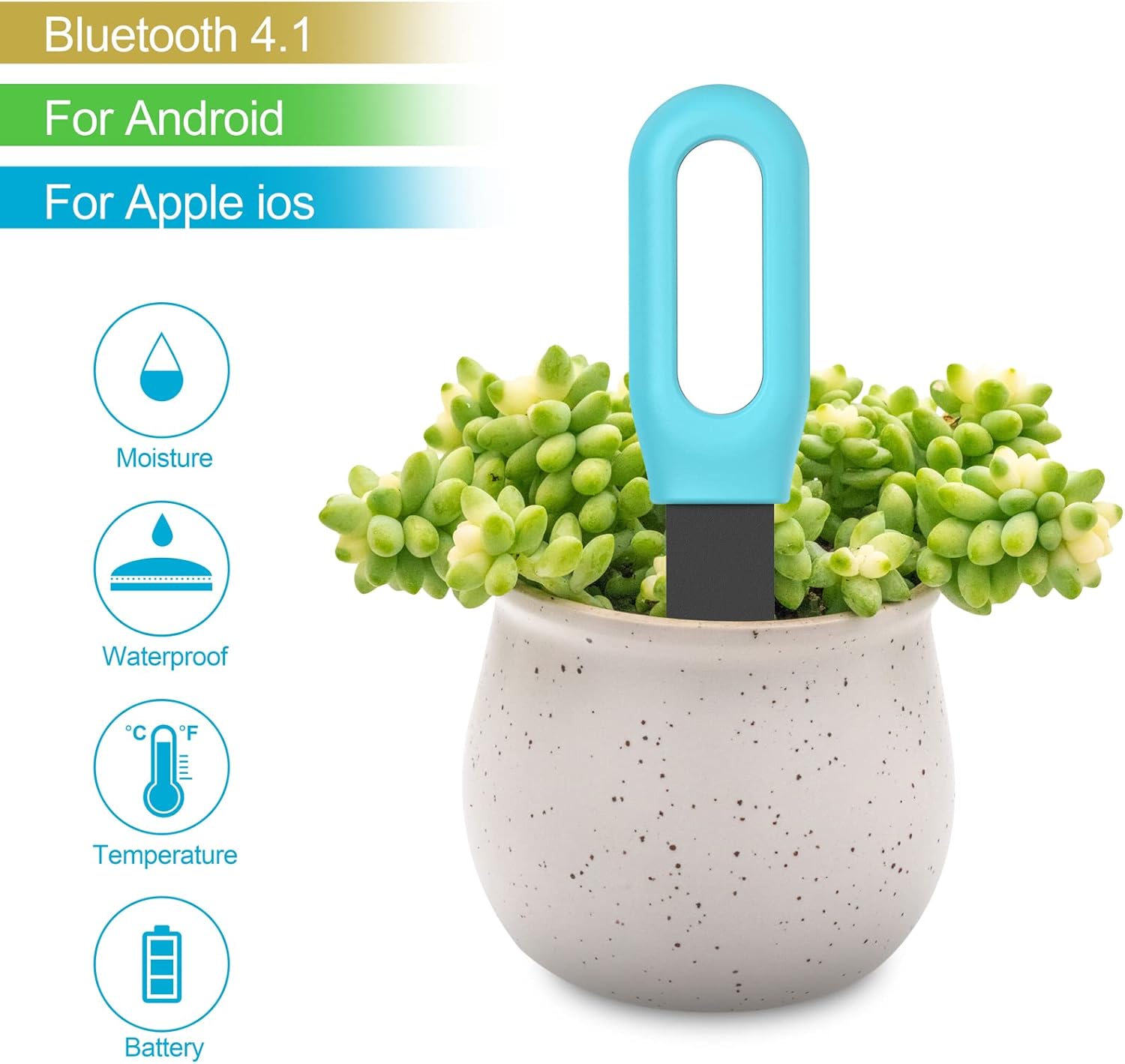 Tester Intelligente per Terren - Soil Test Digital recensione e prezzo