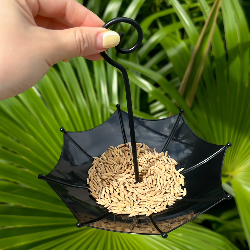 Mangiatoia per Uccelli a Forma - Smart Garden Umbrella recensione e prezzo